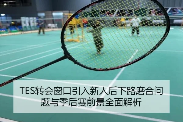 TES转会窗口引入新人后下路磨合问题与季后赛前景全面解析